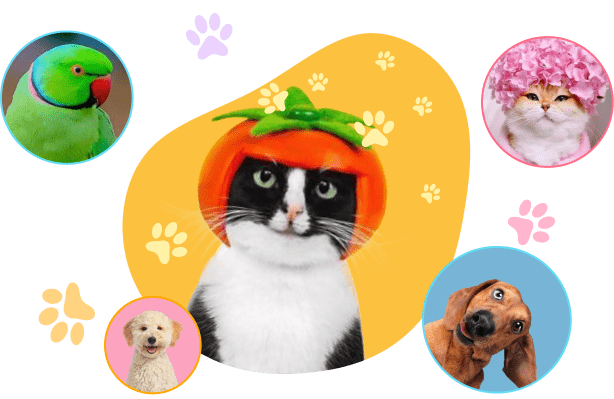 Group 154 (3) Group 154 (3)